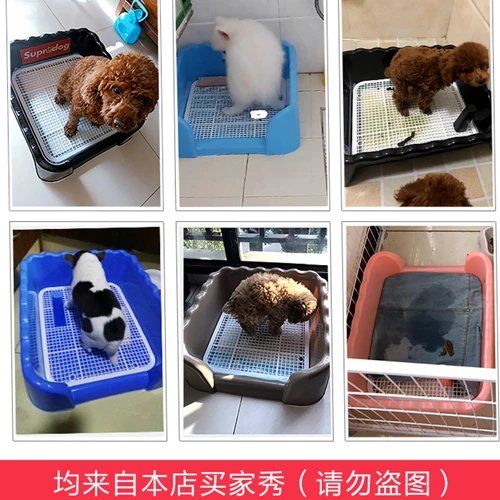 狗厕所泰迪大号大中小型犬自动宠物狗狗用品尿盆拉屎便盆金毛冲水