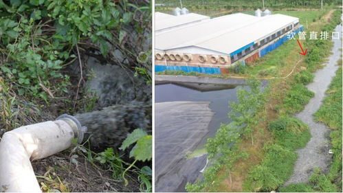 典型案例 湖北省洪湖水环境水生态状况持续下滑