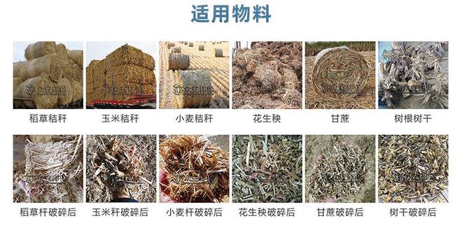 生物质向替代燃料的转化之路