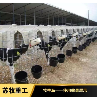 苏牧重工小牛户外饲喂犊牛岛 隔热防潮单独喂养小牛舍犊牛笼