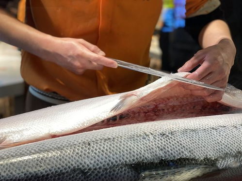 国内 肉价跌,鱼价涨,国外 鱼价和鱼价一起涨