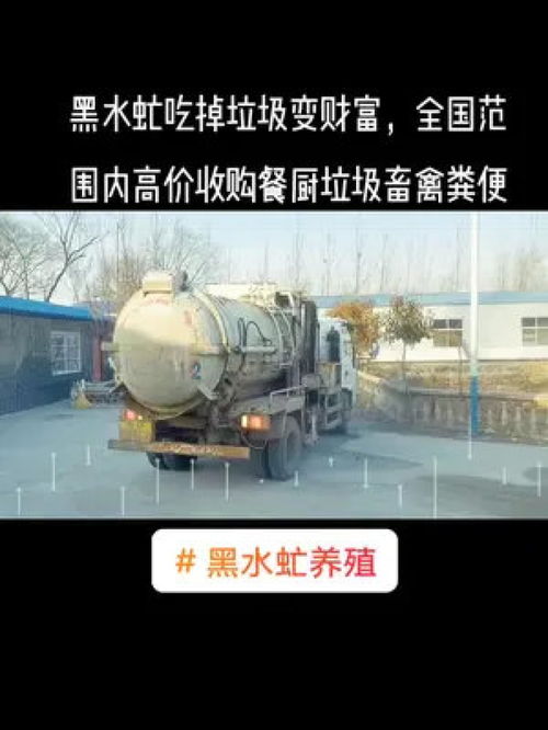 循环农业 黑水虻吃掉垃圾变财富,全国范围内高价收购餐厨垃圾畜禽粪便 黑水虻
