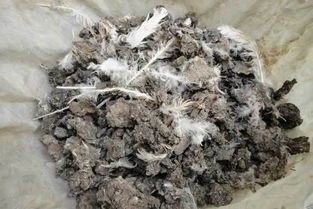 有机肥安全使用引发的食品安全问题