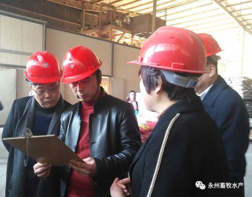 市县区联动，共筑我市畜禽水产品质量安全防线与畜禽粪便资源化利用机制
