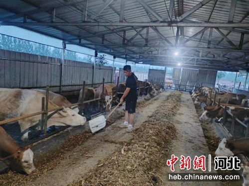 河北南宫 特色养殖引领乡村发展新活力