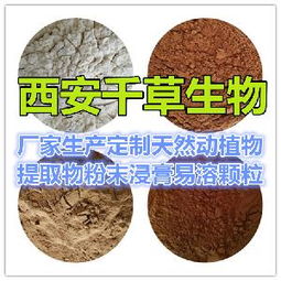 长粒花生 长粒花生价格 报价 长粒花生品牌厂家