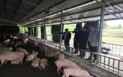 思南经开区:引导企业产业配套补链 促推园区高质量发展